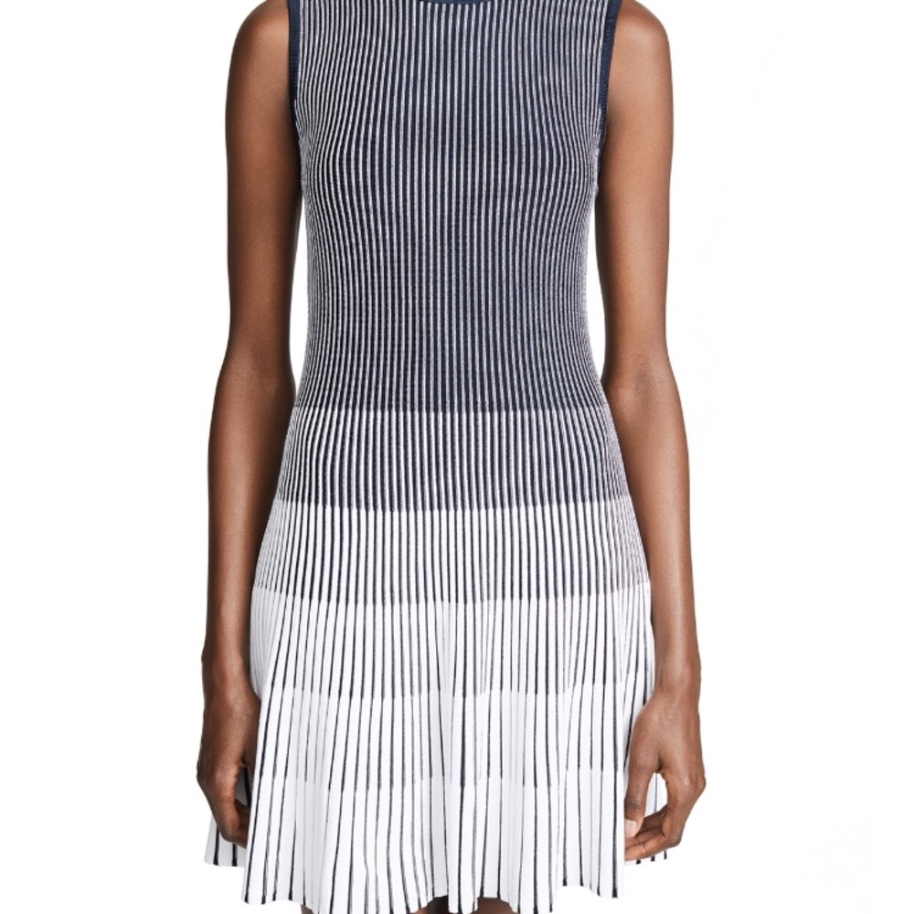NWT Shoshanna ladley dress XS
